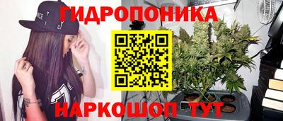 стафф Комсомольск-на-Амуре